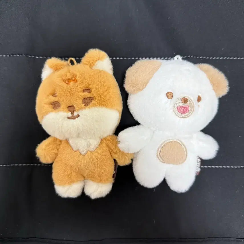 [BUNJANG] Day6 Pretty Merch K Don Bundle Set / 데이식스 쁘띠멀즈 케 돈 양도