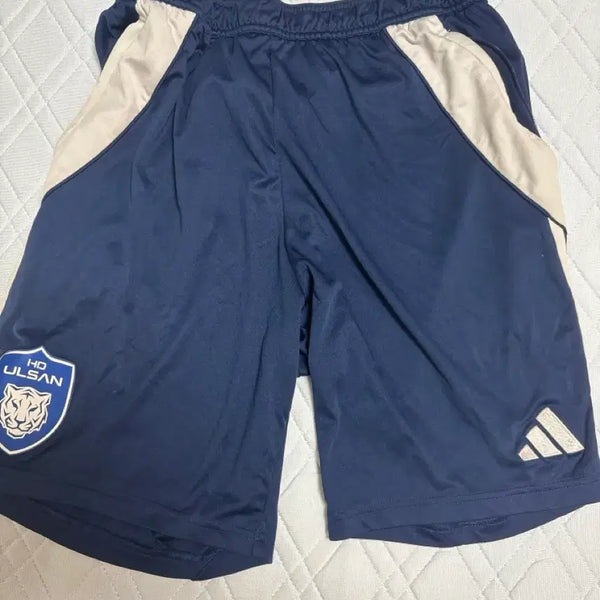[BUNJANG] Ulsan Hyundai L Shorts / 울산현대 반바지 L 급처