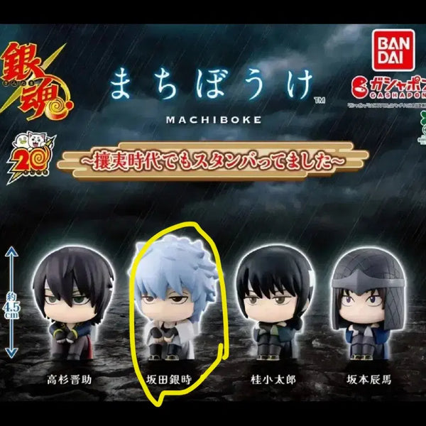[BUNJANG] Gintama Machiboke 4th Edition Sakamoto Tatsuma / 은혼 마치보케 4탄 양이지사 긴토키