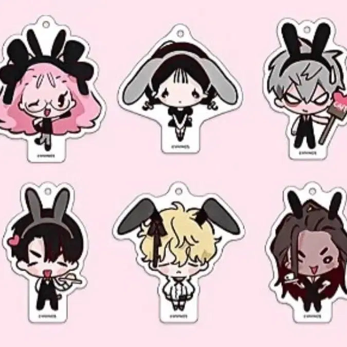[BUNJANG] AISTE Evan Barnisde Keyholder Bundle Set / 에이스테 이반 바니스테 키홀더 일괄 판매