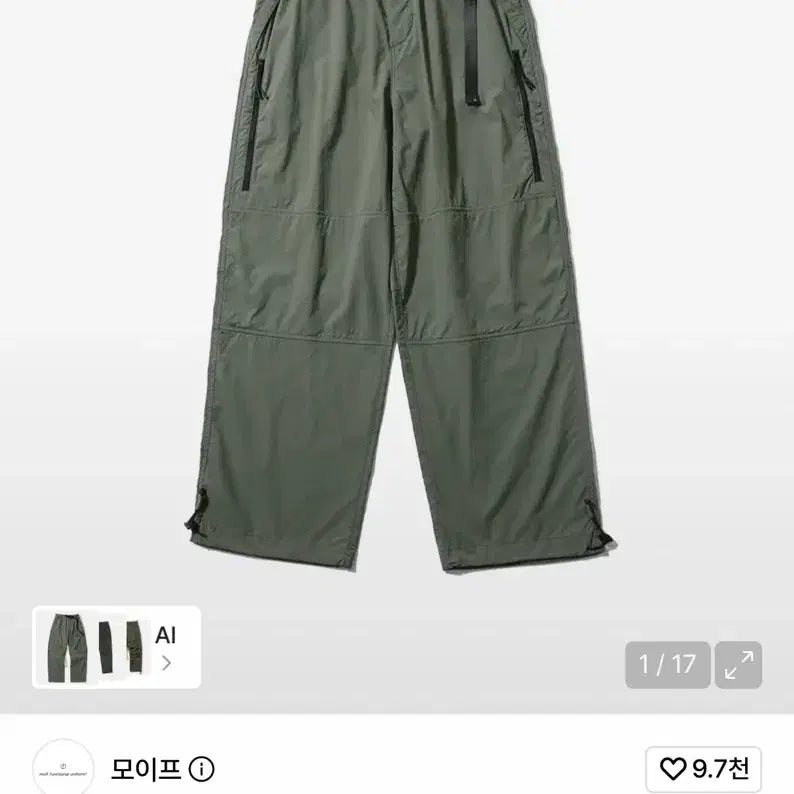[BUNJANG] Moif Utility Hiking Pants - Foliage Green (Size 3) / 모이프 유틸리티 하이킹 팬츠 폴리지 그린 3사이즈
