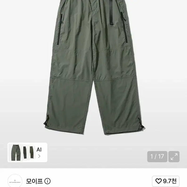 [BUNJANG] Moif Utility Hiking Pants - Foliage Green (Size 3) / 모이프 유틸리티 하이킹 팬츠 폴리지 그린 3사이즈