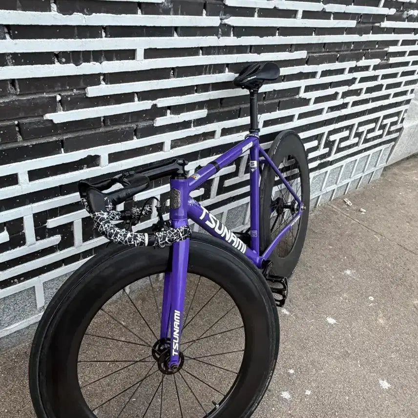 [BUNJANG] Custom Fixed Gear Bicycle - Bora Tsunami Frame / 보라 쓰나미 가격 어그로 xxx