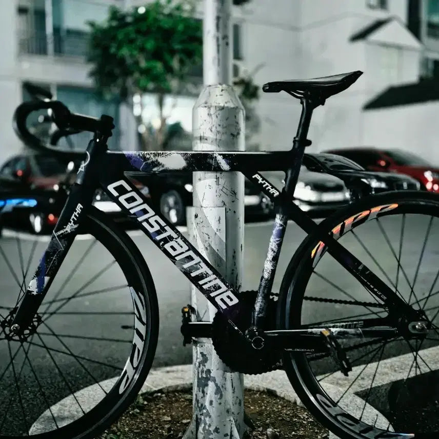 [BUNJANG] Constantine PITA 51cm S Size Bicycle / 콘스탄틴 피타 S-51사이즈 개급처 무하자급 밑에 글 필독 진짜 급해요