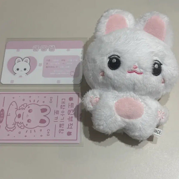 [BUNJANG] Kim Ji Won "Todingyi" Doll / 김지원 인형 토딩이