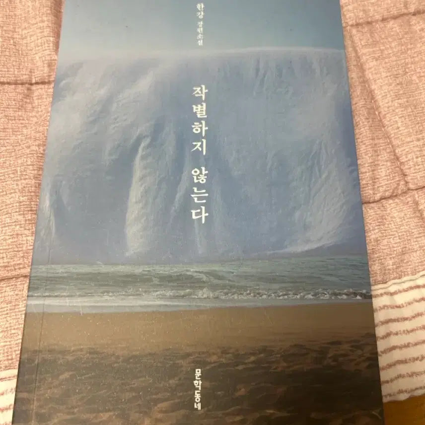 [BUNJANG] Author Han Kang's 'Do Not Part" / 한강 작가님 작별하지 않는다