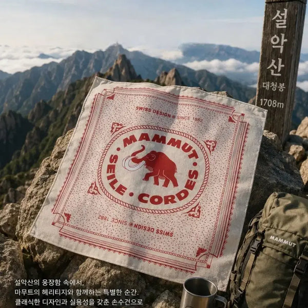 [BUNJANG] Mammut Bandana Handkerchief (Set of 2) / 마무트(Mammut) 반다나 손수건 2장12,000원
