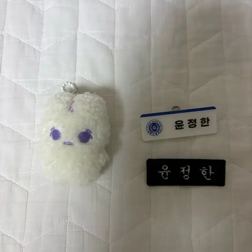 [BUNJANG] Jeonghan Name Tag & 8cm Doll Bundle Set / 걱쫑이 8cm & 윤정한 이름표