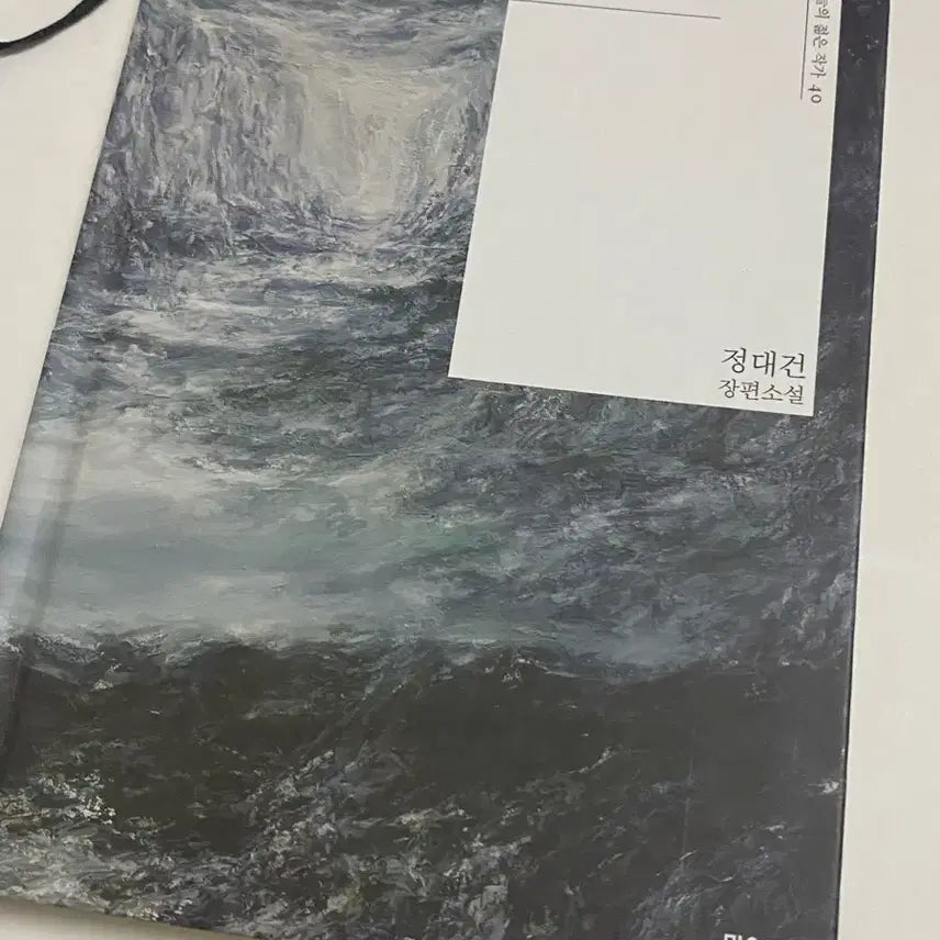 [BUNJANG] Jeong Dae-geon Long Novel: Riptide / 정대건 장편소설 급류