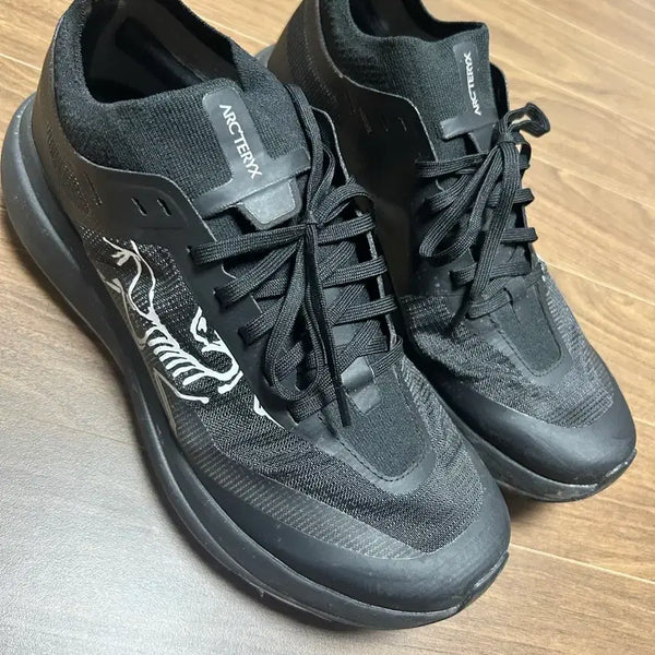 [BUNJANG] Arc'teryx Men's Hiking Boots / 아크테릭스 남성신발