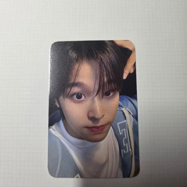 [BUNJANG] NCT-WISH Riku Photocard / [8/17까지만 판매] 엔시티위시 리쿠 포토카드 양도