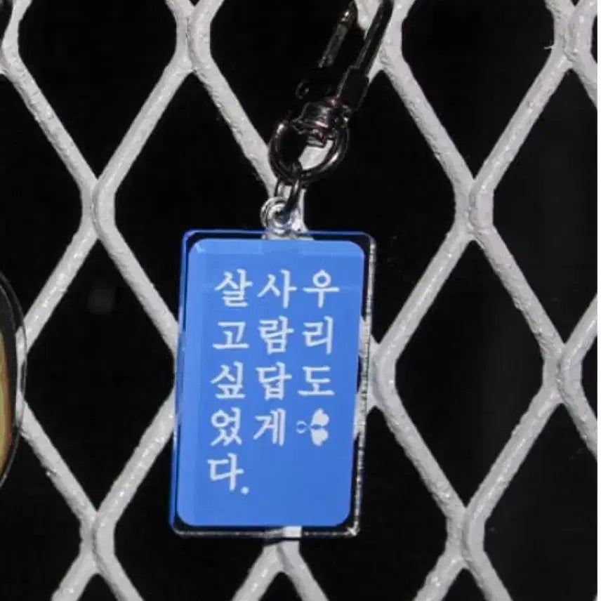 [BUNJANG] Silkmos House Sasaengyeoldan Keyring / 실크모스 하우스 사생결단 키링