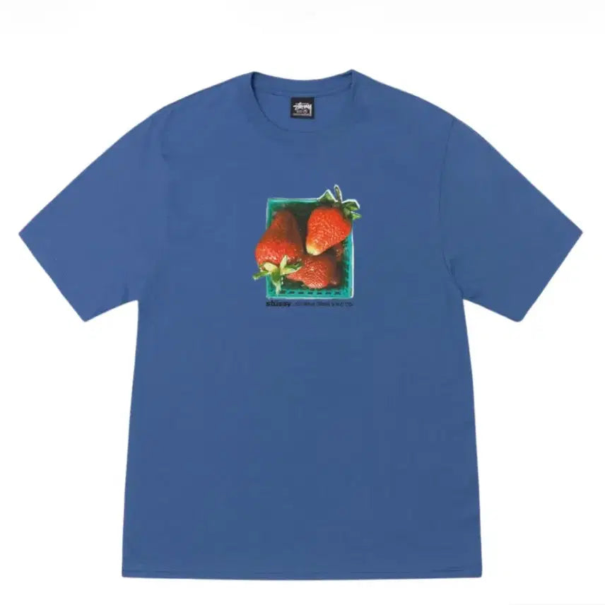 [BUNJANG] Stussy Berry T-Shirt Blue XL / 스투시 베리즈 티셔츠 블루 Stussy
