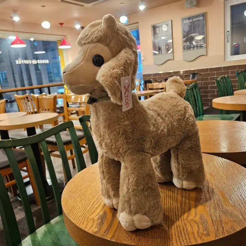 [BUNJANG] XTOP Prize Store Mongsil Sheep Plush 40cm / 몽실이 산양 인형 40cm 새상품 (XTOP 프라이즈스토어)