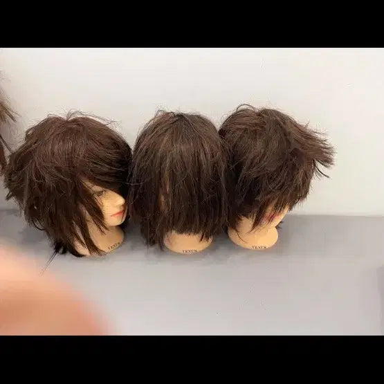[BUNJANG] Venus Human Hair Full Wig Layered Cut / 비너스 통가발 인모 70
