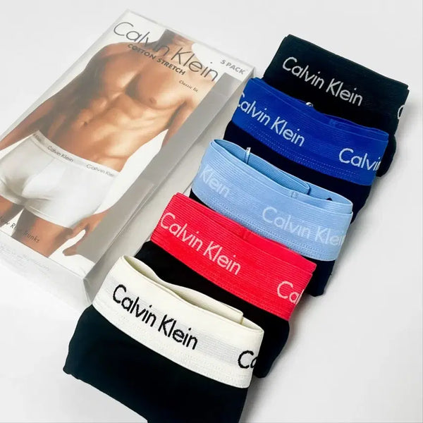 [BUNJANG] Calvin Klein Men's 5-Pack Briefs (Sealed) / [새상품/미개봉]캘빈클라인 남자 드로즈 팬티 5종 세트