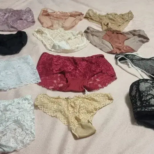 [BUNJANG] Women's Underwear Set (10 Briefs, 2 Bras) / 여성속옷팝니다