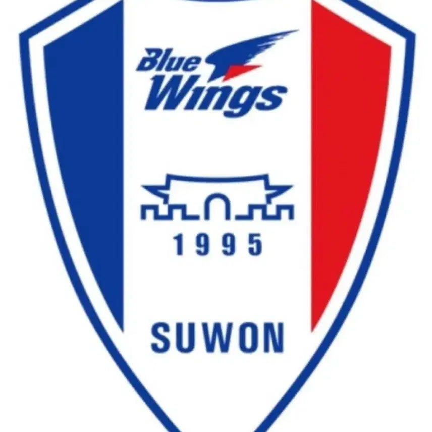 [BUNJANG] Suwon Samsung Bluewings 2023 Football Jersey (L/M) / 수원삼성 유니폼 구매해요