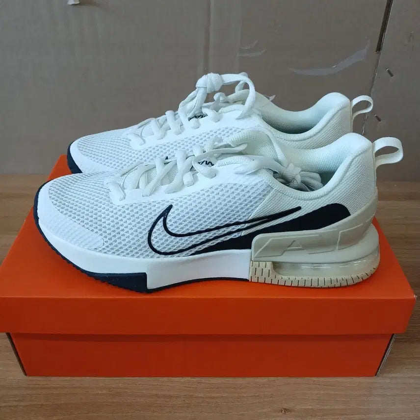 [BUNJANG] Nike Alpha Trainer 6 Running Shoes (Size 285) / 새상품 나이키 알파트레이너6 285 판매