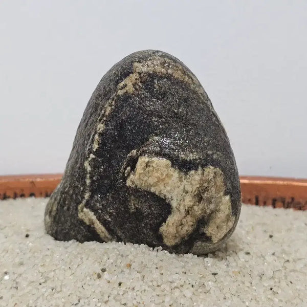 [BUNJANG] Natural Stone 'White Bear' Pattern Stone (7-10-3cm) / 수석 자연석 백곰 문양석 크기 7 - 10 - 3
