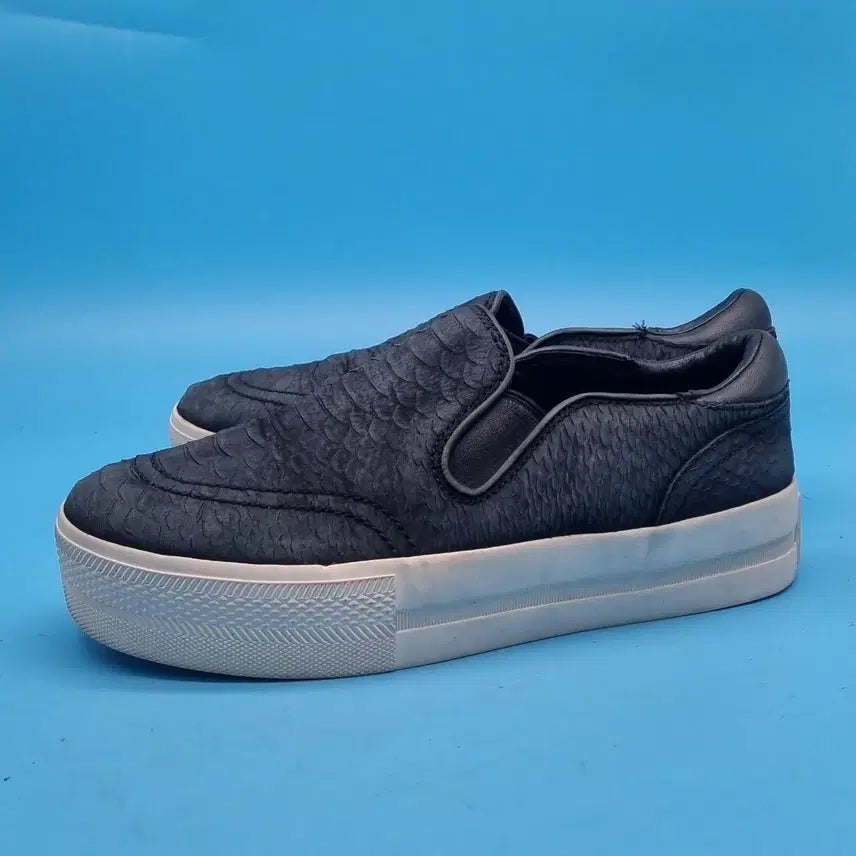 [BUNJANG] ASH Leather Slip-on Shoes (240) / z 아쉬 레더 슬립온 240