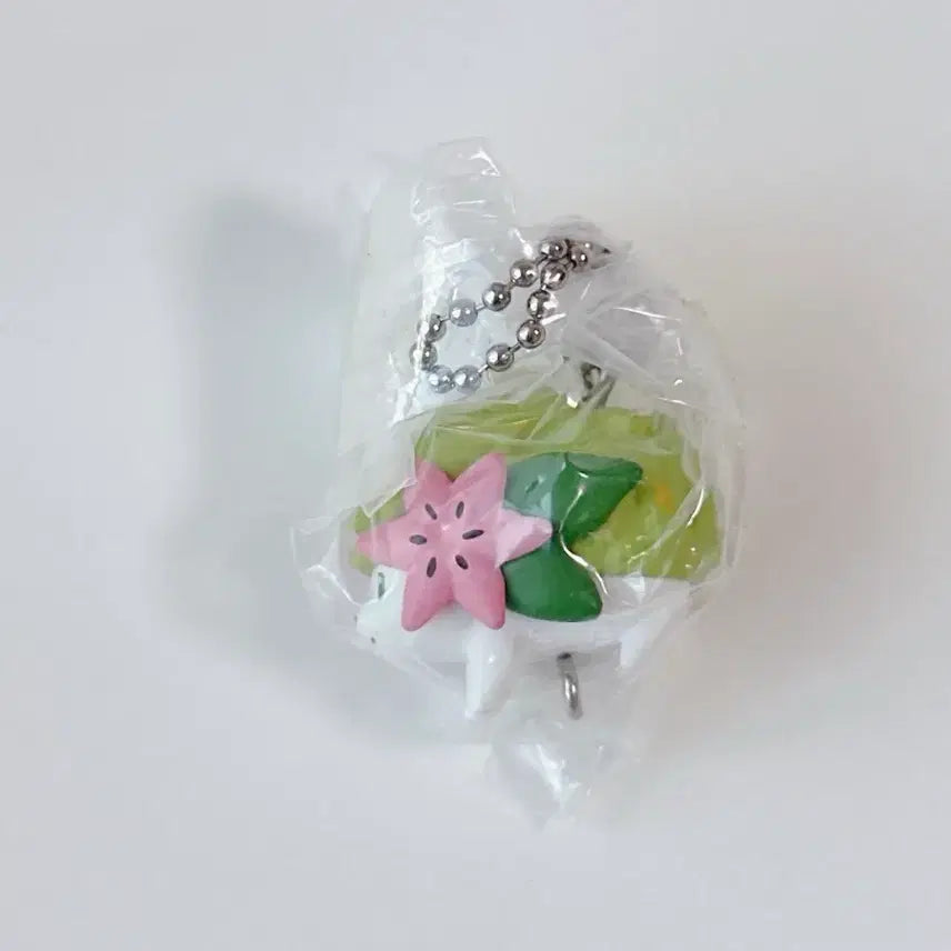 [BUNJANG] Pokemon Ball Chain Gacha Series 5 Shaymin / 포켓몬스터 포켓몬 대롱 가챠 5탄 쉐이미 볼체인