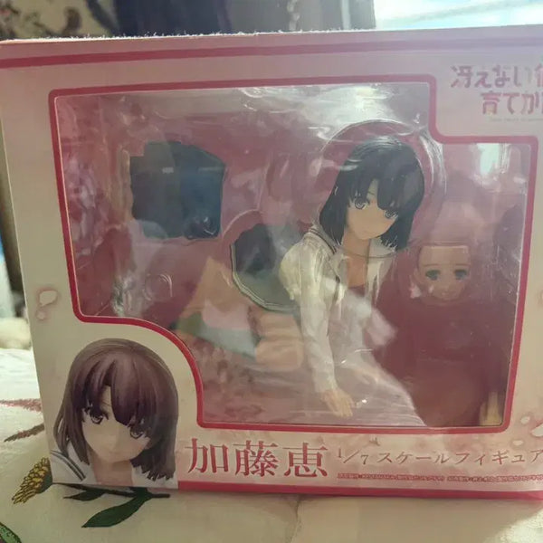 [BUNJANG] Aniplex Limited Saekano: How to Raise a Boring Girlfriend Megumi Kato Figure / 애니플렉스 한정 시원찮은 그녀를 육성하는 방법 카토 메구미