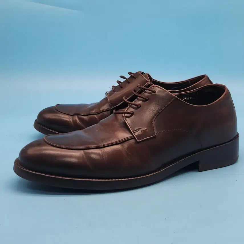 [BUNJANG] TANDY Men's Dress Shoes 255-260 / z 탠디 남성 정장구두 255-260