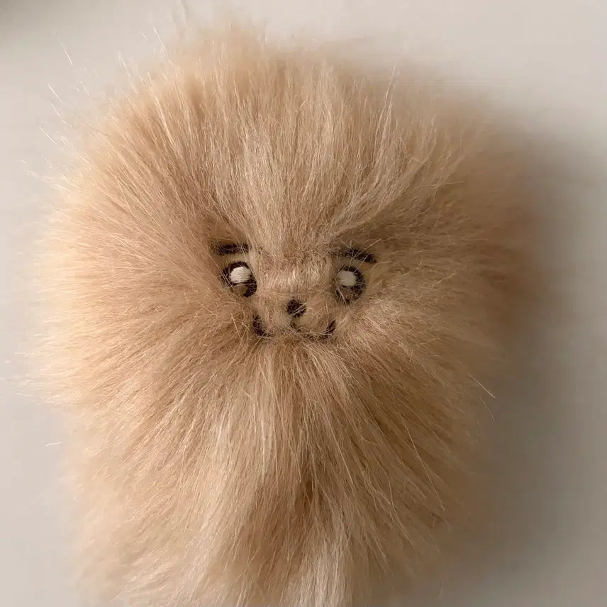 [BUNJANG] Enhypen Jake Simlatte Doll / 엔하이픈 제이크 인형 심라떼 양도해요