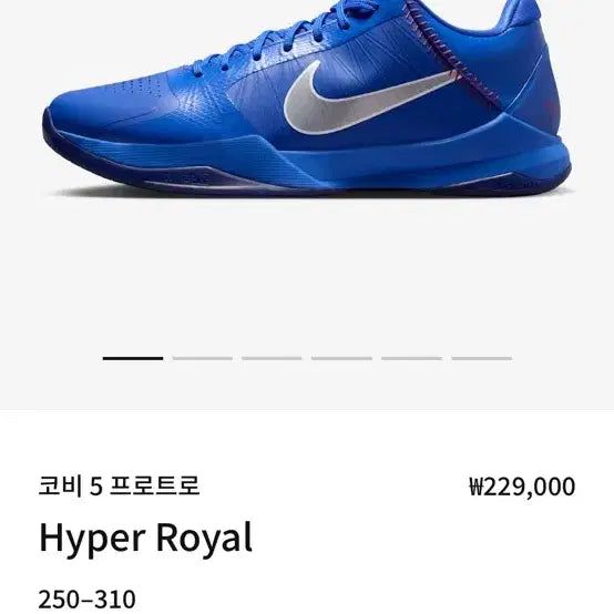 [BUNJANG] Nike Kobe 5 Protro Hyper Royal / 나이키 코비 5 프로트로 하이퍼 로얄