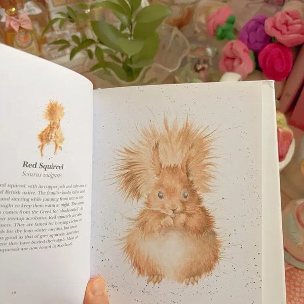 [BUNJANG] Vintage Animal Illustration Book: "The Country Set" by Hannah Dale / 빈티지 동물 삽화북