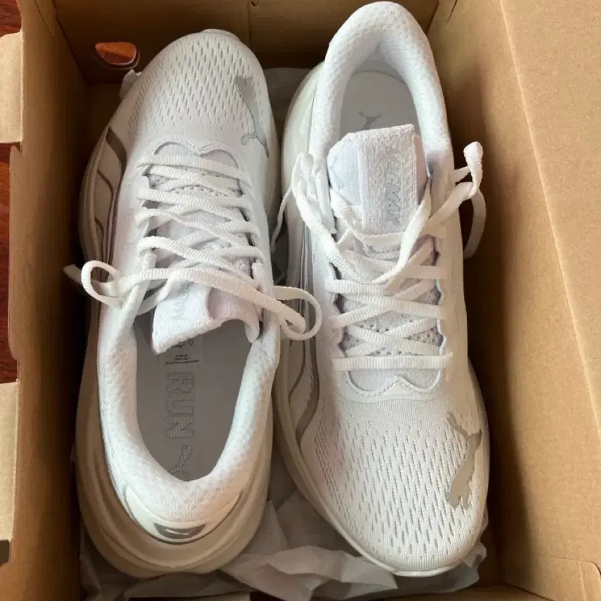 [BUNJANG] Puma MAGMAX NITRO 1 260mm Men's Trekking Shoes / 푸마 매그맥스 나이트로 1  사이즈 260