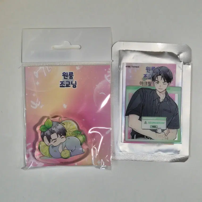 [BUNJANG] Wonroom Jojo (Yoon Seungbum) Beomseuke Acrylic Card & Mini Acrylic Bundle Set / 원룸조교님 윤승범 범스케 아크릴카드, 미니아크릴 일괄판매