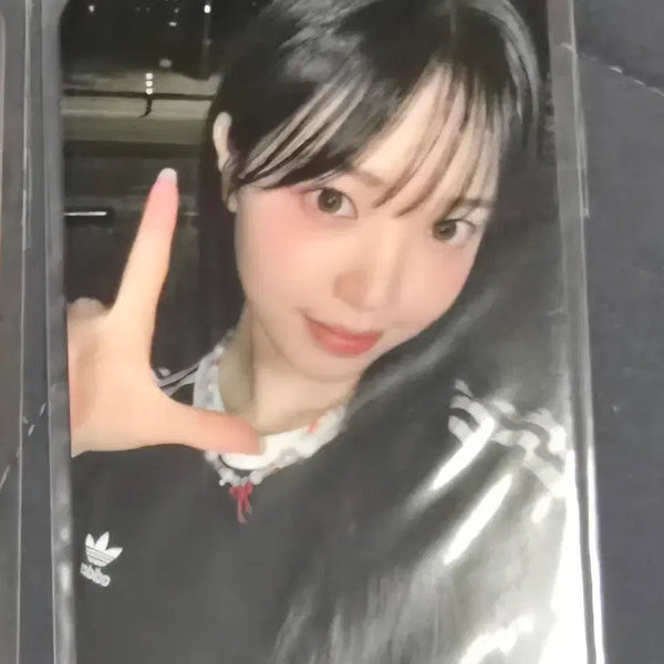 [BUNJANG] Candy Shop Studio Photocard / 캔디샵 공방포카 양도