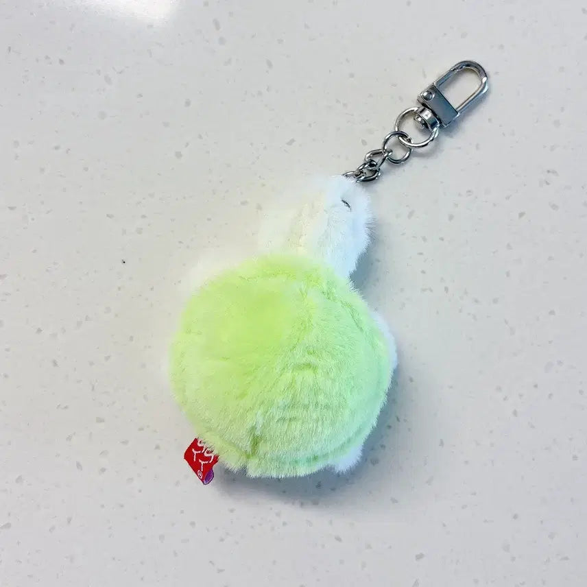 [BUNJANG] Melon Turtle Keychain / 멜론 거북이 키링