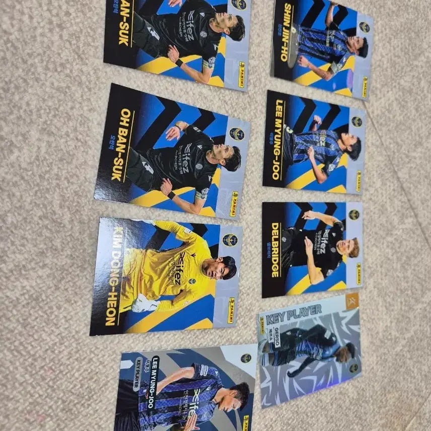 [BUNJANG] K League Panini Trading Cards Bundle Set (63 Cards) / k리그 파니니 카드 일괄 판매
