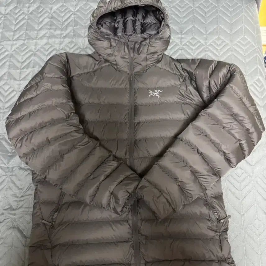 [BUNJANG] Arc'teryx Cerium Hoody Black / [L] 아크테릭스 세륨 후디 블랙