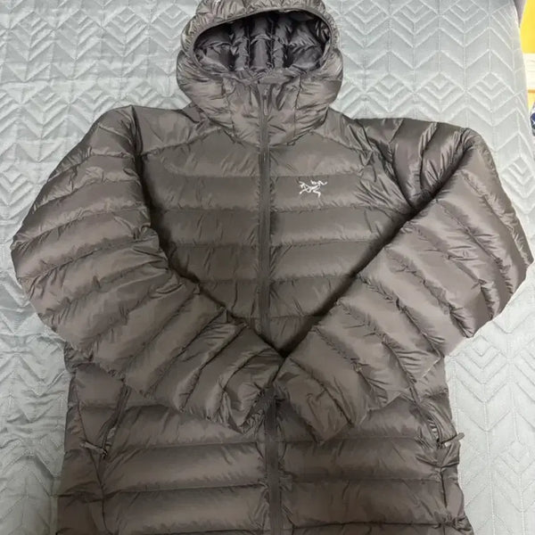 [BUNJANG] Arc'teryx Cerium Hoody Black / [L] 아크테릭스 세륨 후디 블랙