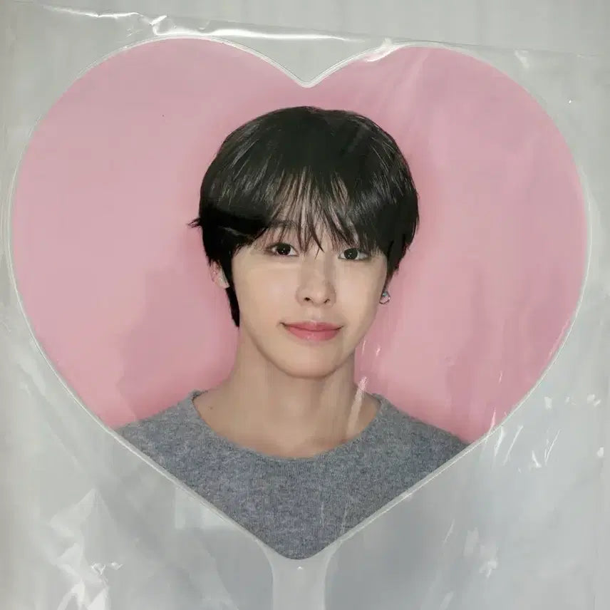 [BUNJANG] Riku Steady Uchiwa (Fan) - Sealed New Product / 리쿠 스테디 우치와 미개봉 새상품