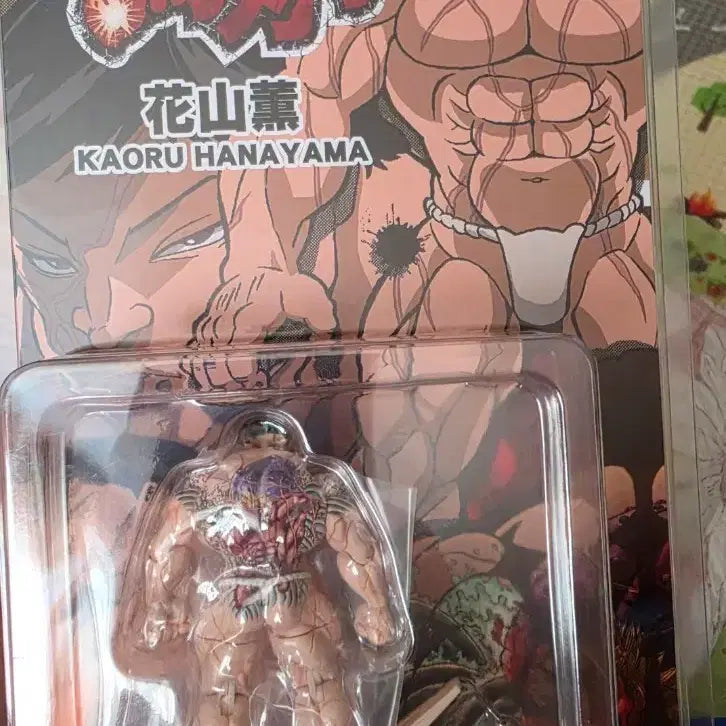 [BUNJANG] Baki Hanayama Kaoru Figure (Sealed) / 바키 하나야마카오루. 미개봉