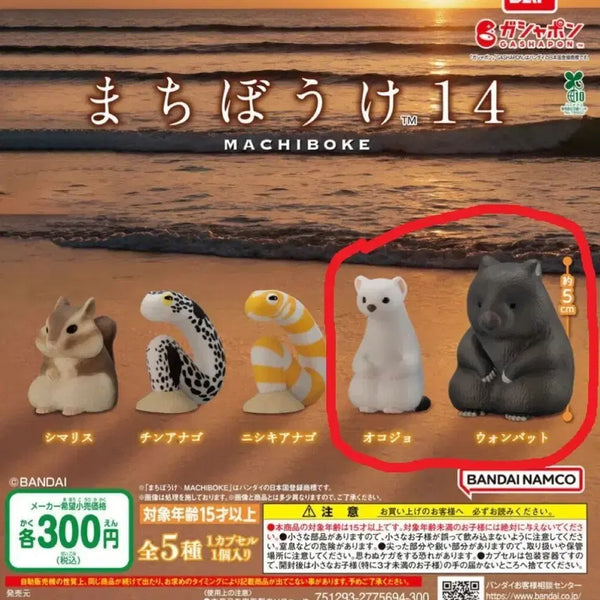 [BUNJANG] Unopened 'When Will It Arrive' Series White Ferret & Wombat Bundle / 언제오려나 시리즈 흰족제비,웜벳 새상품 일괄 판매합니다(캡슐째 보관)