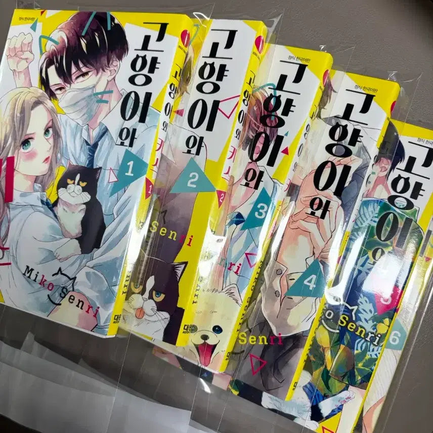[BUNJANG] Kissing the Cat Full Set (Volumes 1-6) / 고양이와 키스 만화책 전권 (1~6)