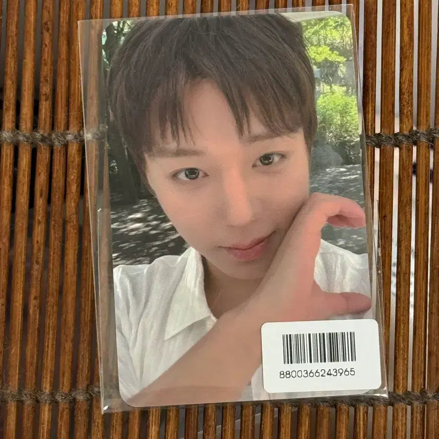 [BUNJANG] Park Jihoon FORMENT Photocard (Discontinued) / 박지훈 포맨트 포카 단종 재발매 x