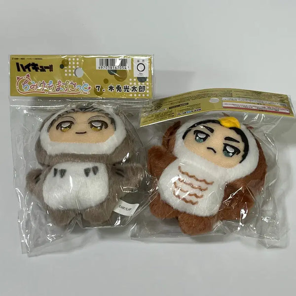 [BUNJANG] Haikyuu!! ChimiKemo Bokuto Koutarou & Akaashi Keiji Set / 하이큐 치미케모 보쿠토 아카아시