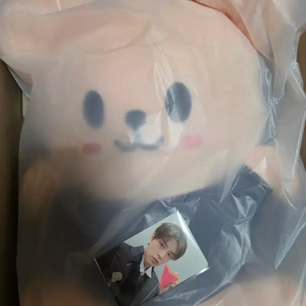 [BUNJANG] PERFOMANCE NAANA Plush Doll and Photocard Set / 퍼핌 나안아
