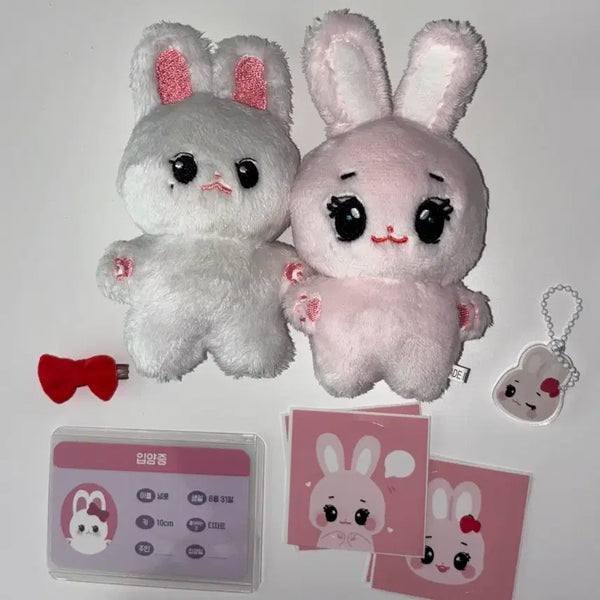 [BUNJANG] Nyeongppo & Berry Nyeong Bundle Set / 녕뽀 베리녕 풀구성 일괄 양도합니다!