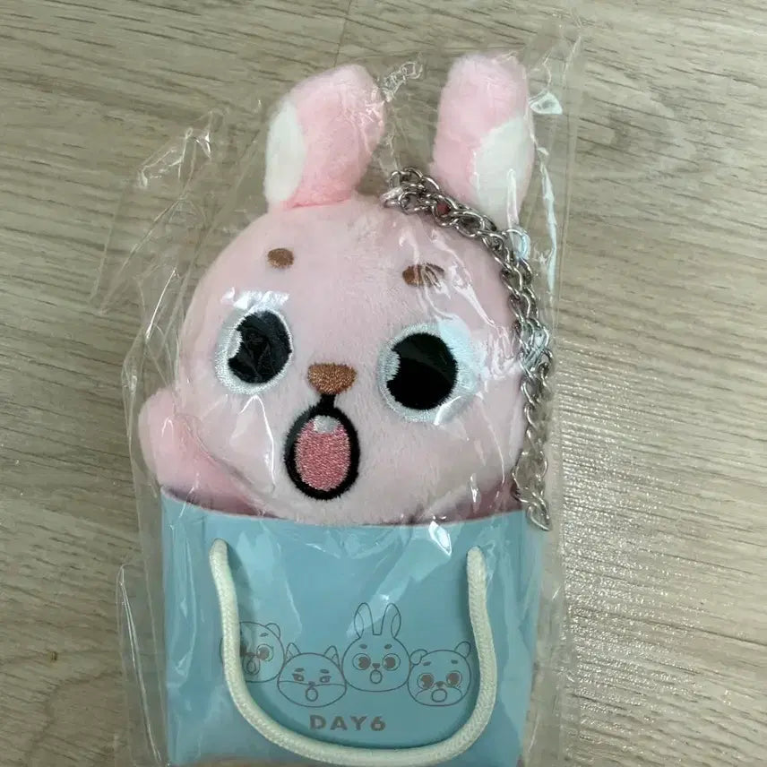 [BUNJANG] DAY6 Japan MD Bag Charm / 데이식스 일본 백참 필