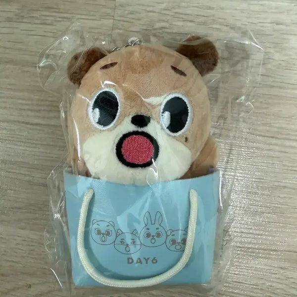 [BUNJANG] Day6 Japan MD Bag Charm / 데이식스 일본 백참 돈