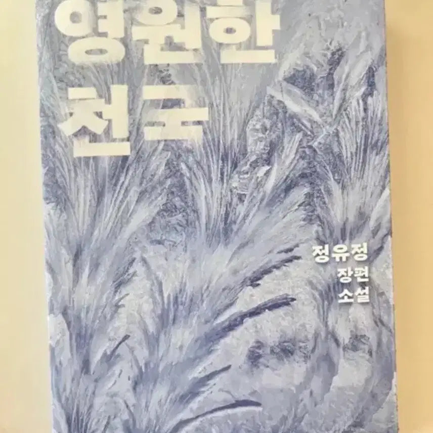 [BUNJANG] Yoo Jung Jung "Eternal Heaven" Novel / 정유정 작가 영원한 천국 소설