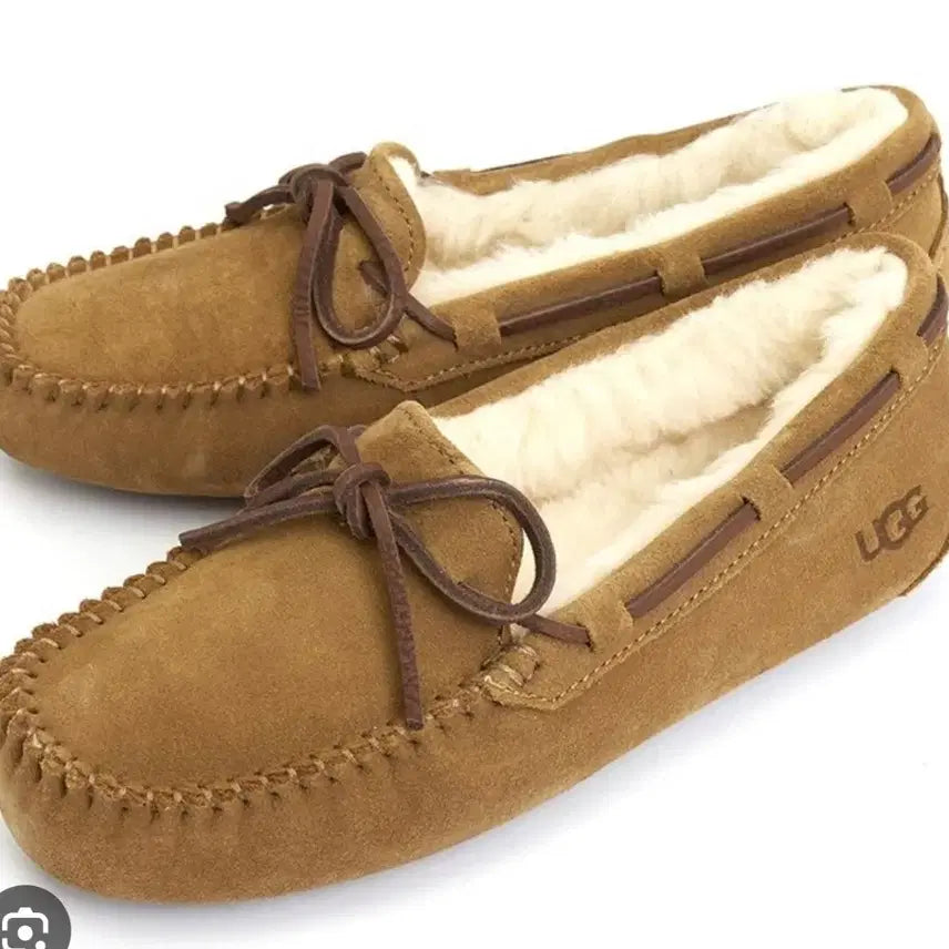 [BUNJANG] Australia Luxe Collective Dakota Chestnut 240 / 어그 다코타 체스트넛 240